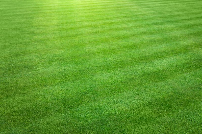 Clean Lawn with Clear Borders