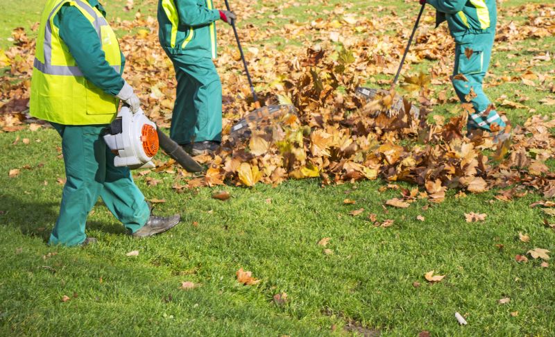 Fall Leaf Cleanup Service